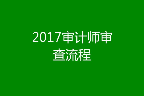 2017审计师审查流程