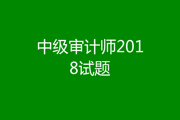 中级审计师2018试题