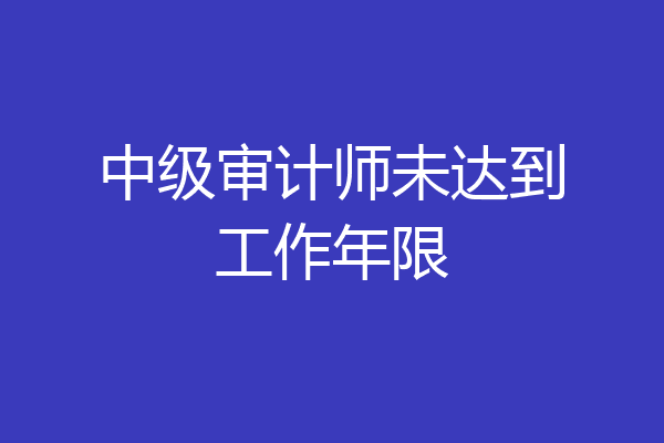 中级审计师未达到工作年限