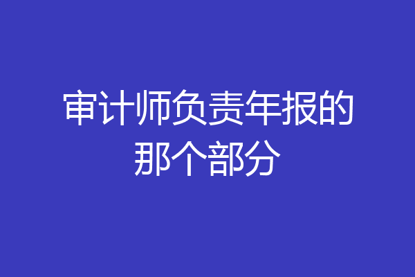 审计师负责年报的那个部分