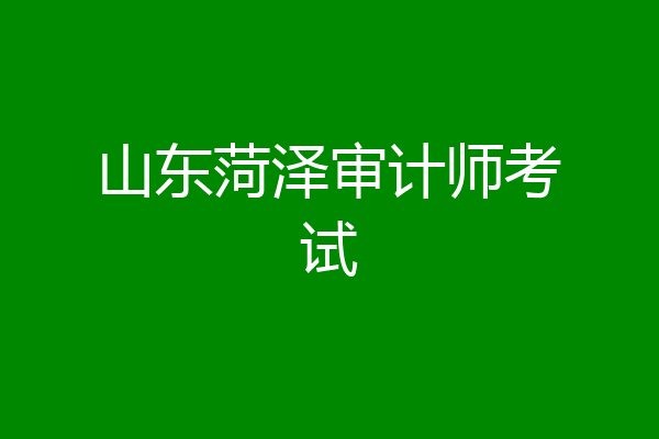 山东菏泽审计师考试
