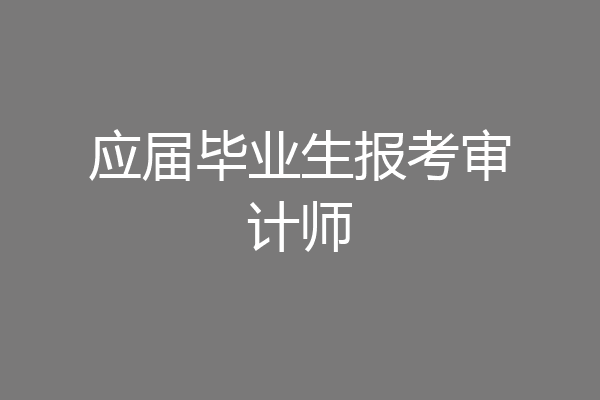 应届毕业生报考审计师