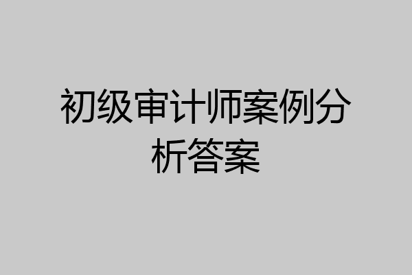 初级审计师案例分析答案