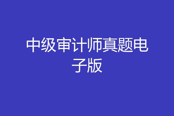 中级审计师真题电子版