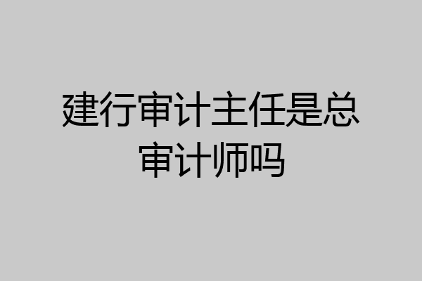 建行审计主任是总审计师吗
