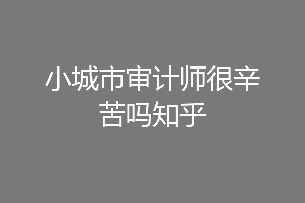 小城市审计师很辛苦吗知乎