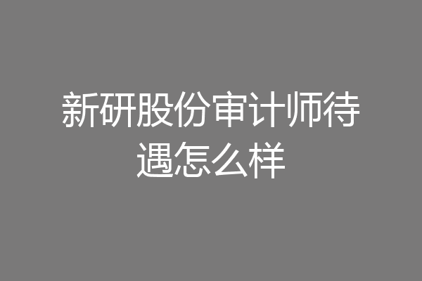 新研股份审计师待遇怎么样