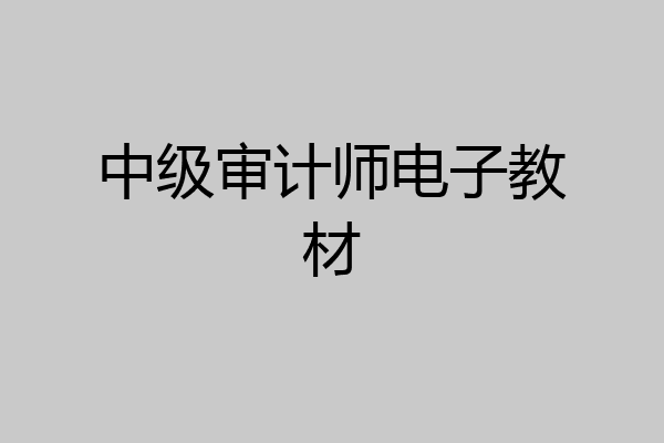 中级审计师电子教材