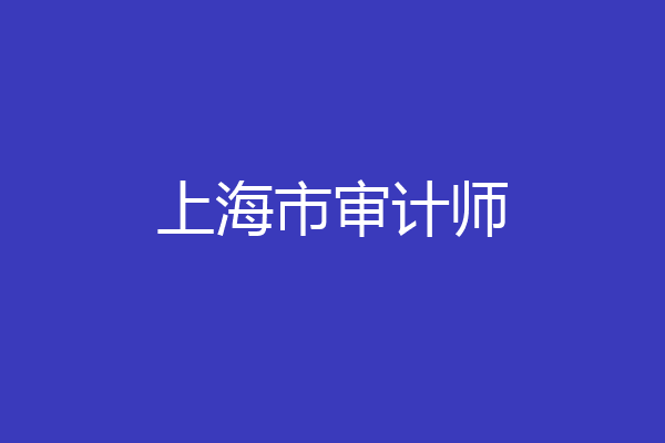 上海市审计师