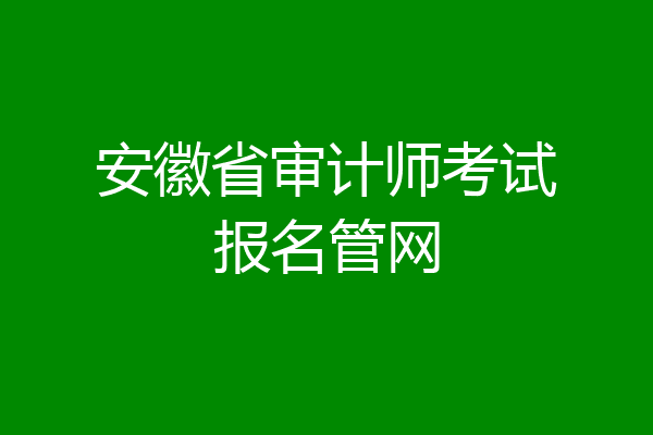 安徽省审计师考试报名管网