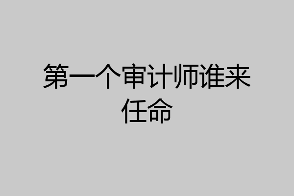 第一个审计师谁来任命