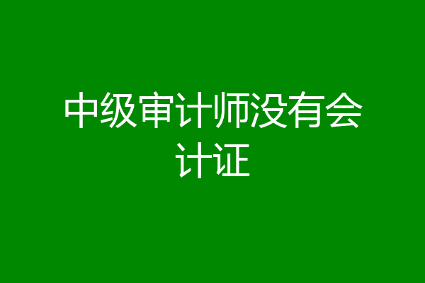 中级审计师没有会计证