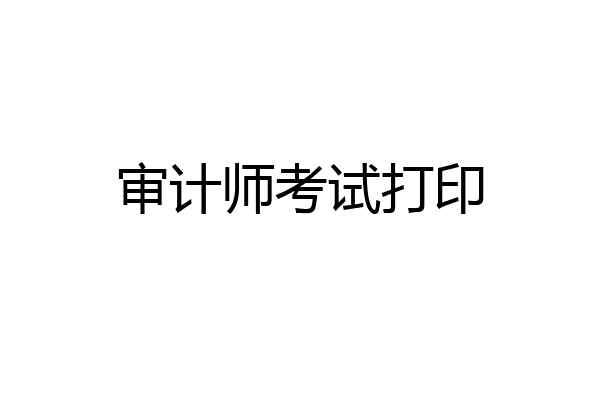 审计师考试打印