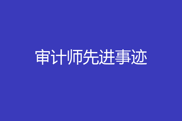 审计师先进事迹