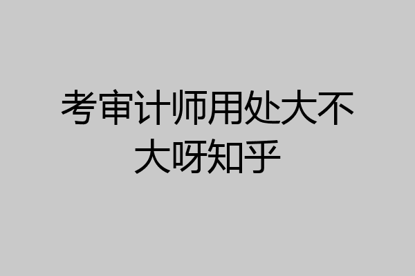 考审计师用处大不大呀知乎
