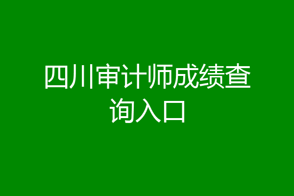 四川审计师成绩查询入口