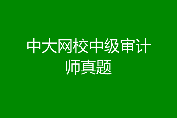 中大网校中级审计师真题