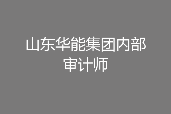 山东华能集团内部审计师