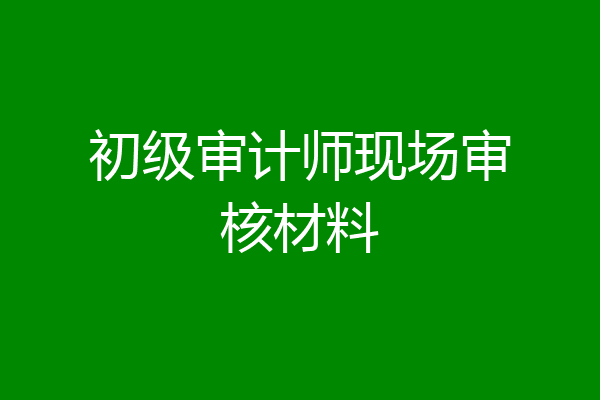 初级审计师现场审核材料