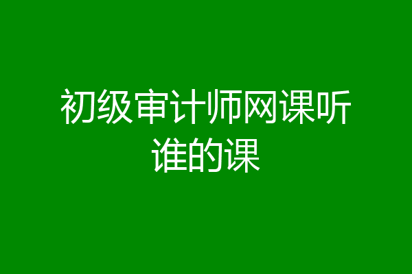 初级审计师网课听谁的课
