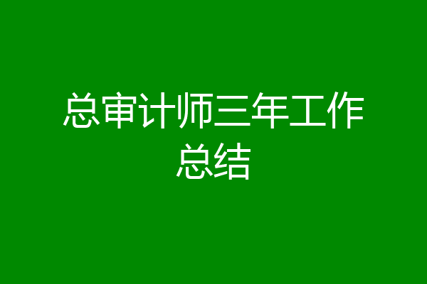 总审计师三年工作总结