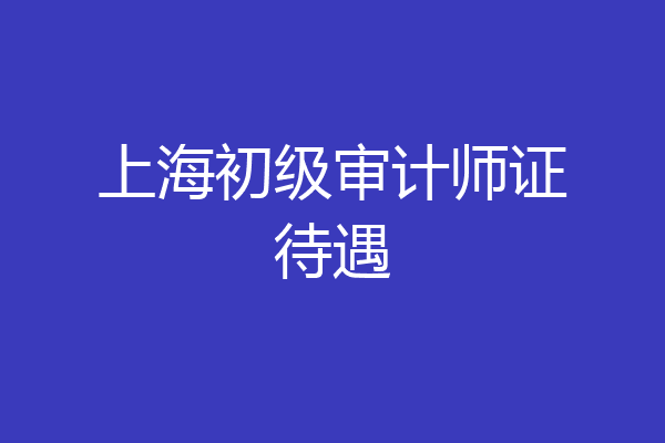 上海初级审计师证待遇