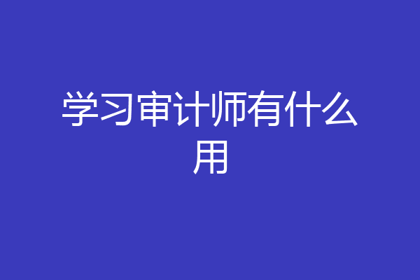 学习审计师有什么用