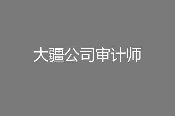 大疆公司审计师
