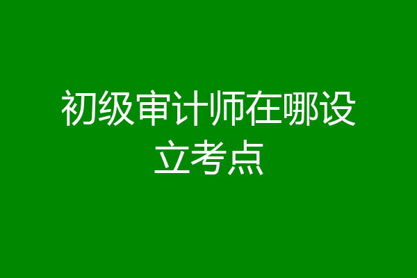 初级审计师在哪设立考点