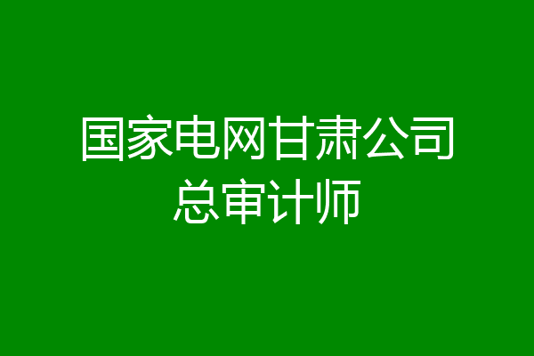 国家电网甘肃公司总审计师