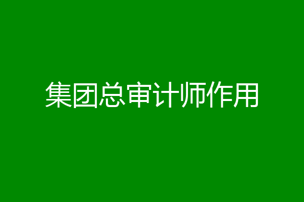 集团总审计师作用