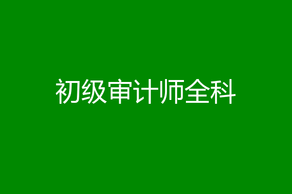 初级审计师全科