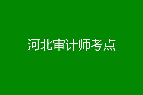 河北审计师考点