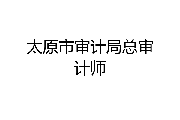 太原市审计局总审计师