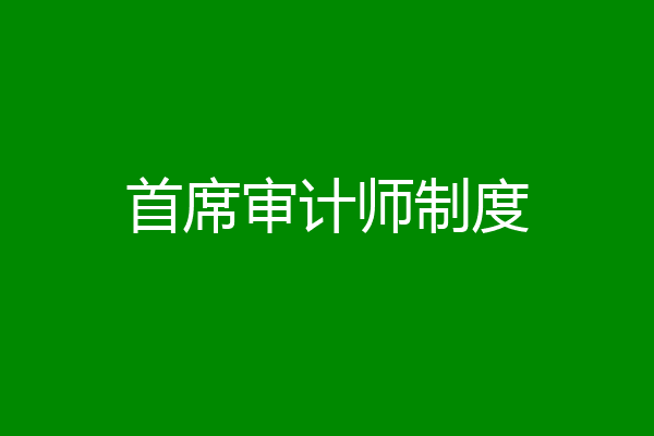 首席审计师制度