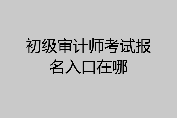 初级审计师考试报名入口在哪