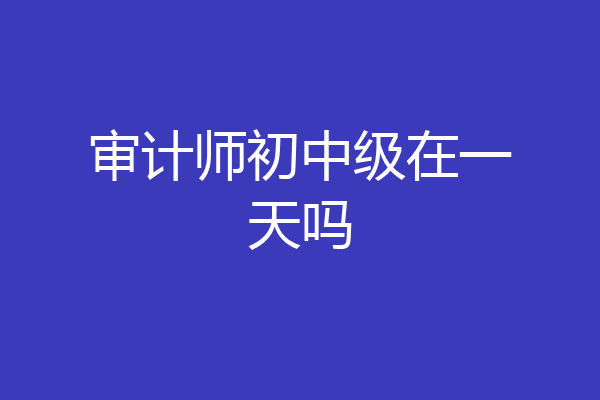 审计师初中级在一天吗