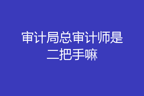 审计局总审计师是二把手嘛