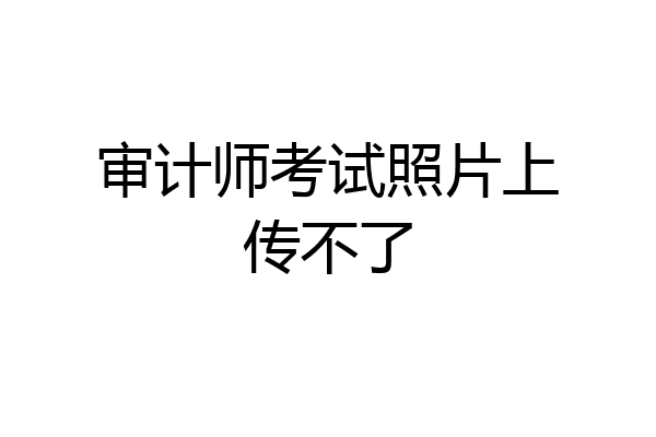 审计师考试照片上传不了