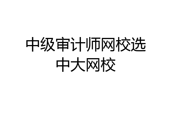 中级审计师网校选中大网校