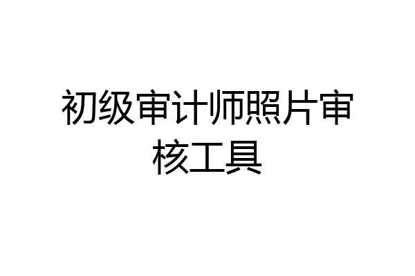 初级审计师照片审核工具