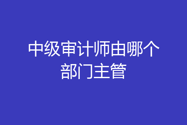 中级审计师由哪个部门主管