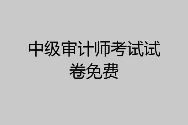 中级审计师考试试卷免费