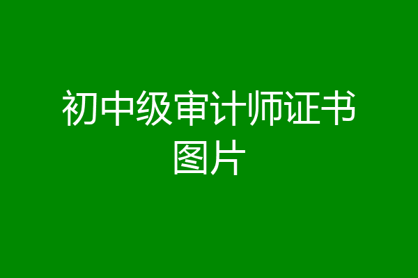 初中级审计师证书图片