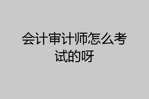 会计审计师怎么考试的呀