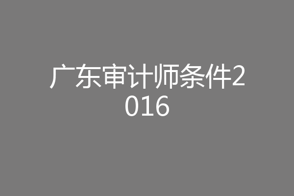 广东审计师条件2016
