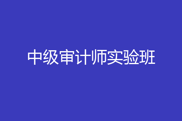 中级审计师实验班
