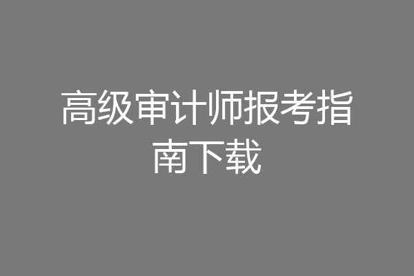 高级审计师报考指南下载