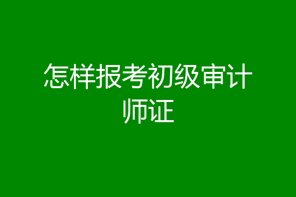 怎样报考初级审计师证