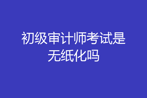 初级审计师考试是无纸化吗